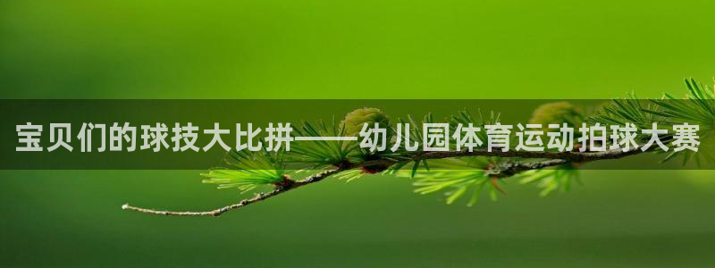 雨燕360体育免费直播：宝贝们的球技大比拼——幼儿园体育运动拍球大赛