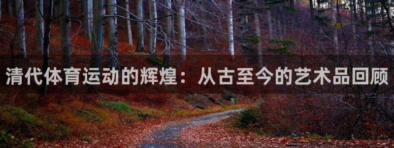 雨燕cba直播高清免费直播