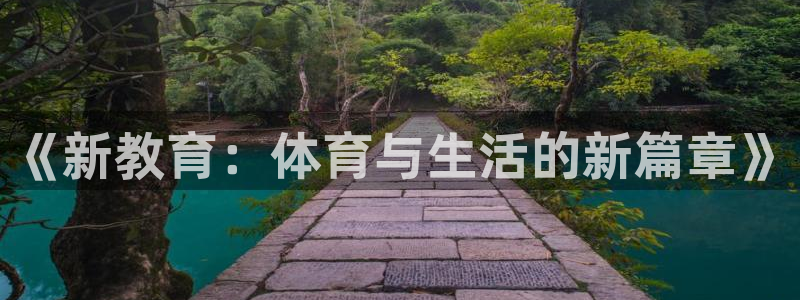 雨燕回放录像NBA