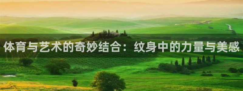 雨燕直播体育免费直播nba：体育与艺术的奇妙结合：纹身中的力量与美感