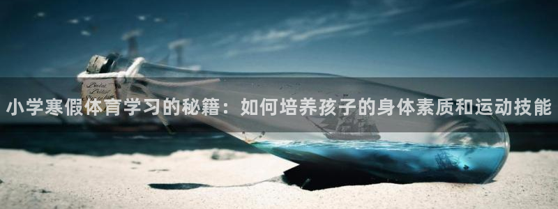 雨燕直播360高清直播nba：小学寒假体育学习的秘籍：如何培养孩子的身体素质和运动技能