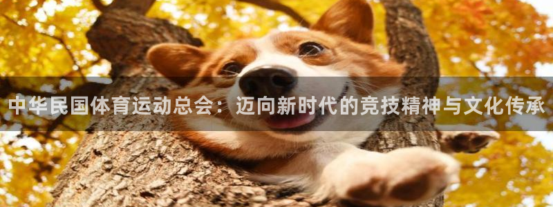 雨燕足球：中华民国体育运动总会：迈向新时代的竞技精神与文化传承