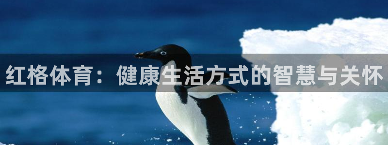 雨燕nba直播视频在线直播观看