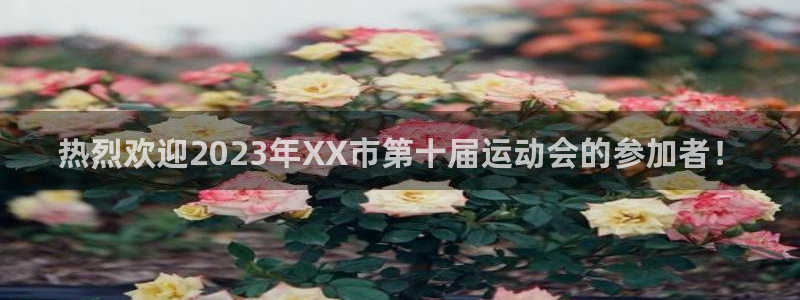 雨燕isofix接口在哪：热烈欢迎2023年XX市第十届运动会的参加者！