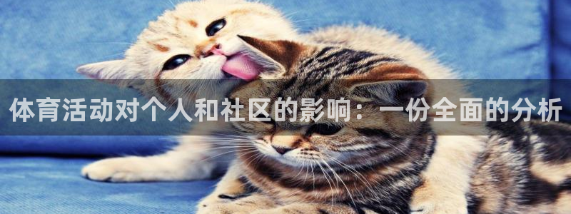雨燕unit键干嘛的：体育活动对个人和社区的影响：一份全面的分析