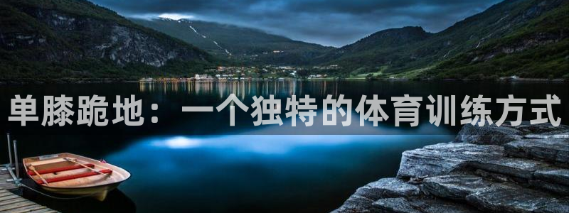雨燕obd手册：单膝跪地：一个独特的体育训练方式